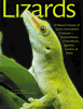 Lizards