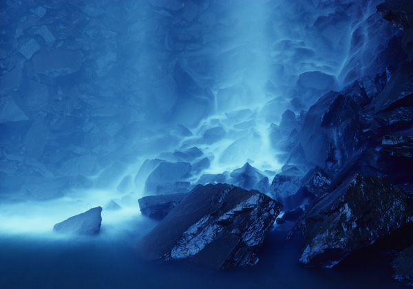 Photo of Dendrobated azureus